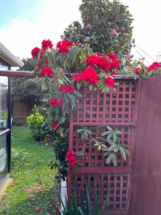 Charm On Chippendale Ensuite B&B Palmerston North Extérieur photo